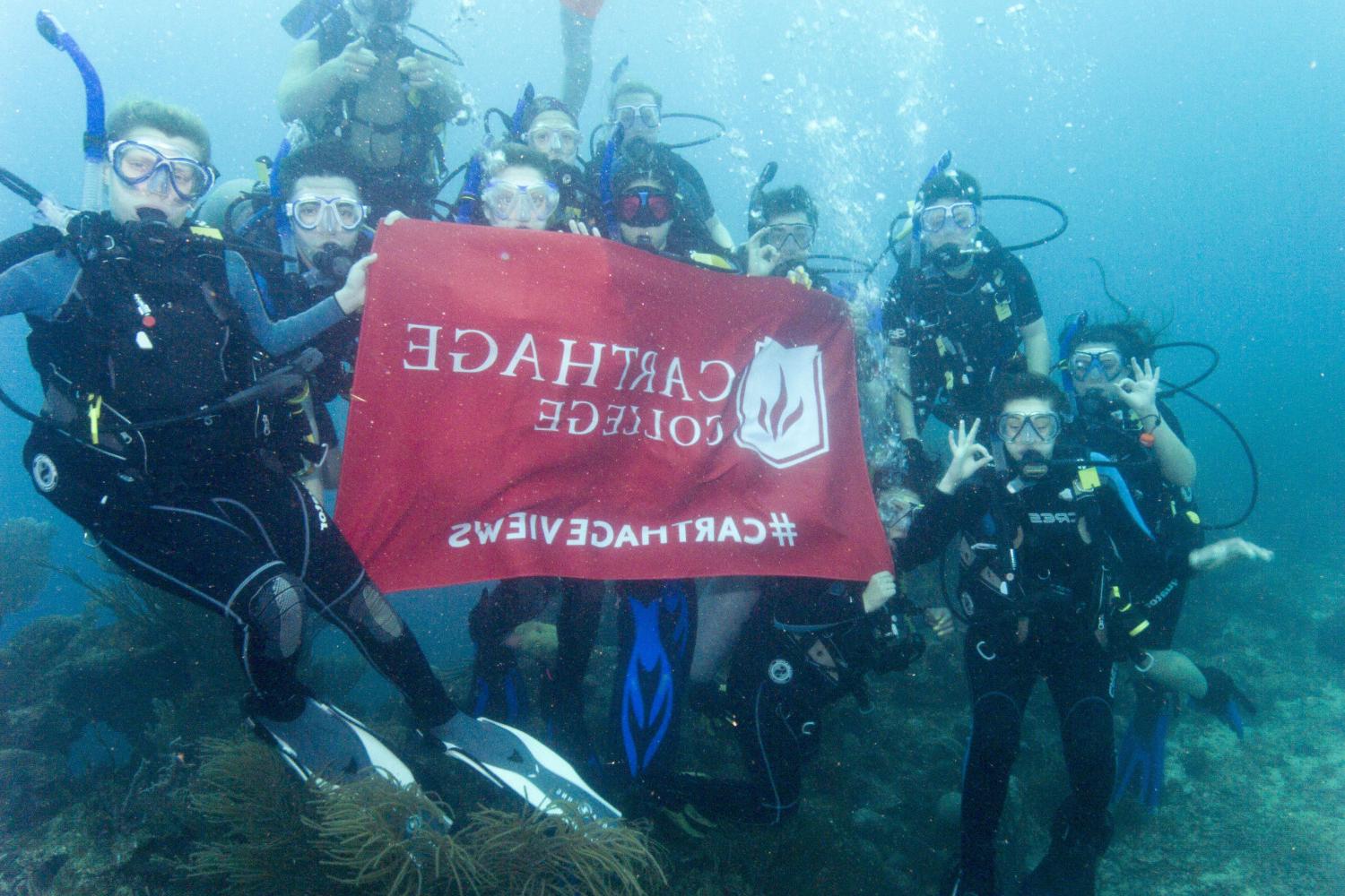 学生们手持<a href='http://tncz.ngskmc-eis.net'>bv伟德ios下载</a>旗帜，在j学期洪都拉斯游学之旅中潜水.